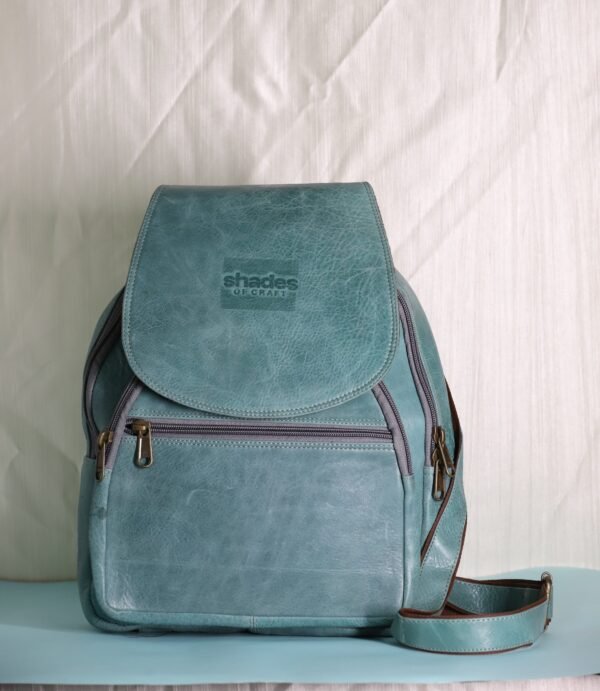 College leather backpack